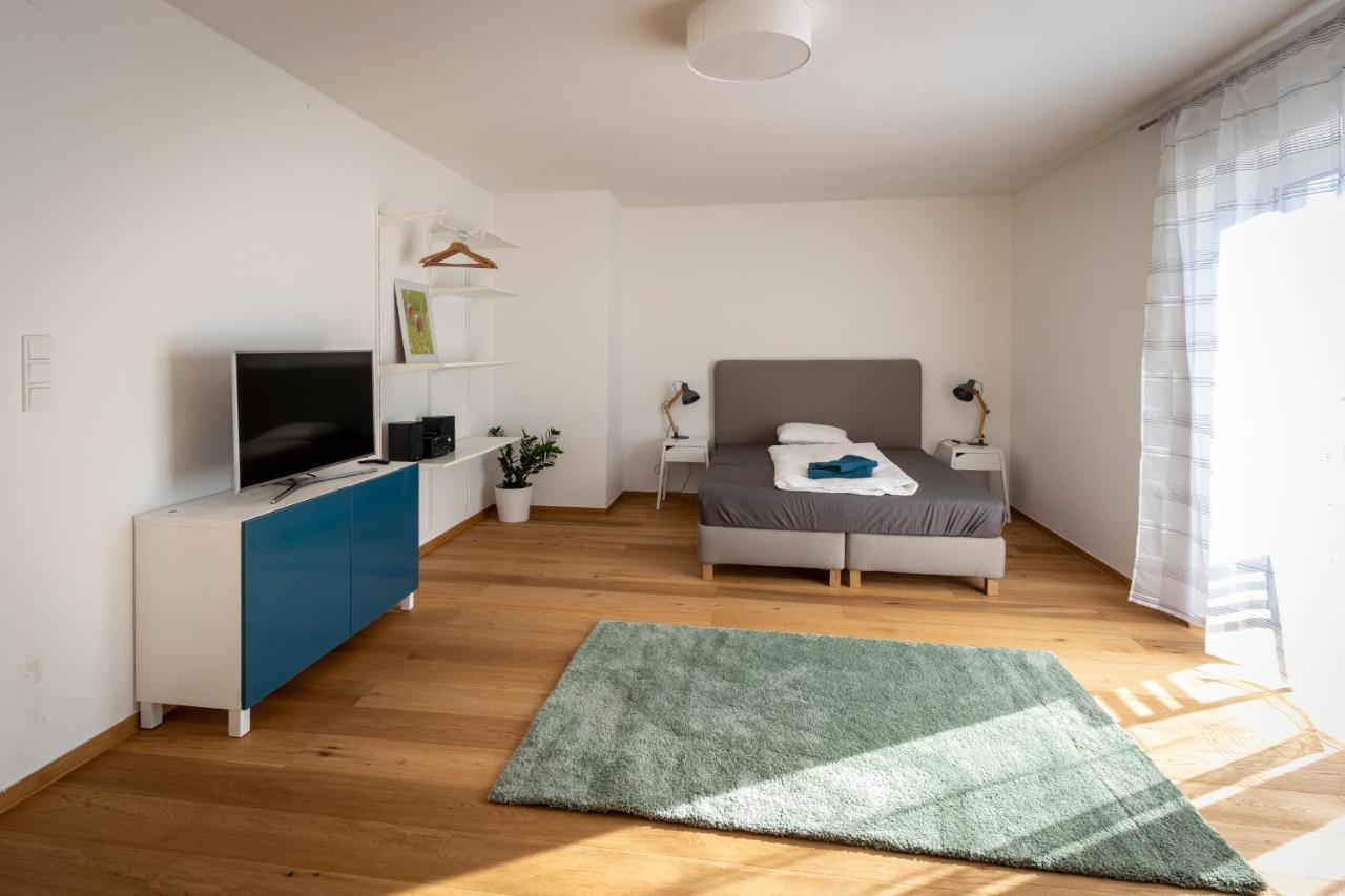Flataid Apartmenthaus Brauhausstrasse Грац Екстериор снимка